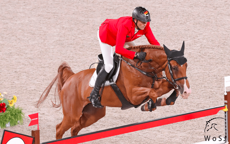 体育新闻包含蒂姆在德国队比赛中领先优势明显，重要助攻引发热议！赛场气氛高涨的词条